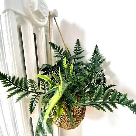 Apartment *l'appart D'eden* Au Coeur De Vichy